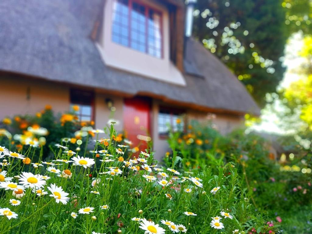 Granny Mouse Country House & Spa Balgowan Buitenkant foto